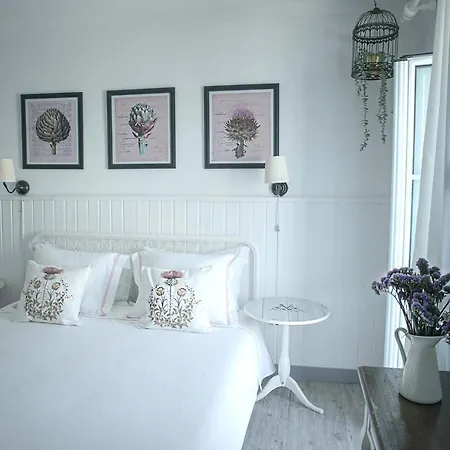 Vinnus Maison d'hôtes