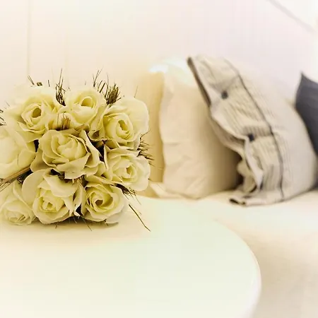 Vinnus 招待所 埃里塞拉